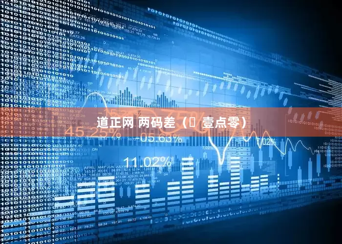 道正网 两码差（​壹点零）