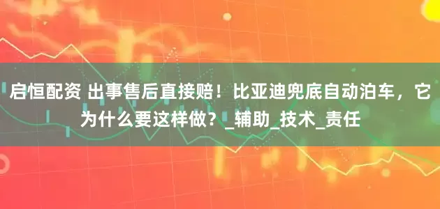 启恒配资 出事售后直接赔！比亚迪兜底自动泊车，它为什么要这样做？_辅助_技术_责任